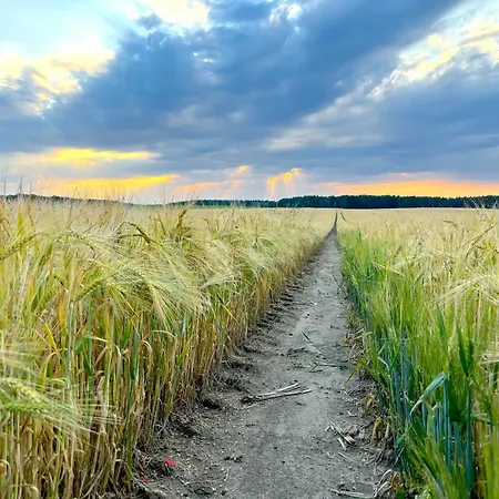 Luxus Maisonette-apartment - Werde Zum Koenig In Der Traumwelt Beerfelde Apartmán