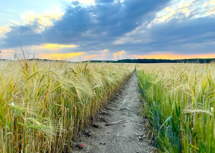 Luxus Maisonette-apartment - Werde Zum Koenig In Der Traumwelt Beerfelde Apartamento